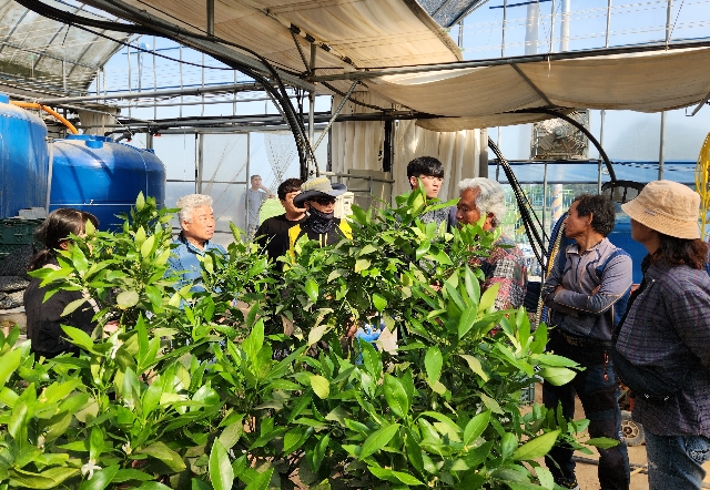 신소득작목육성 만감류 재배농가 선진지견학 대표 이미지
