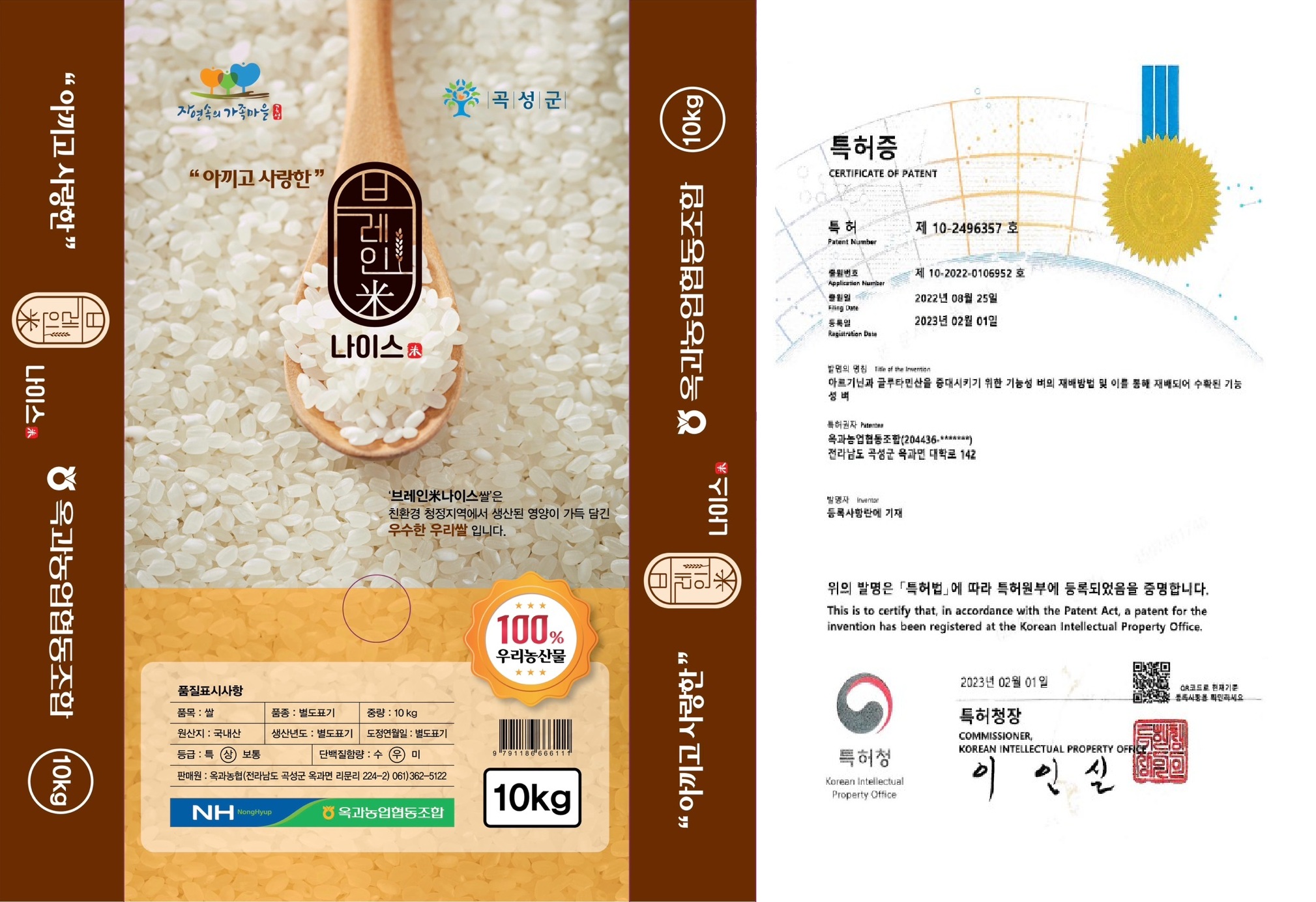 브레인나이스미